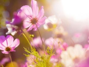 Experience your sensuality without pressure, shame and judgements on yourself.